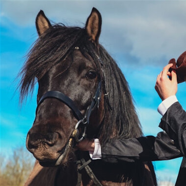 Stand and deliver! Georgian Theatre hosts John Godber's world premiere of The Highwayman