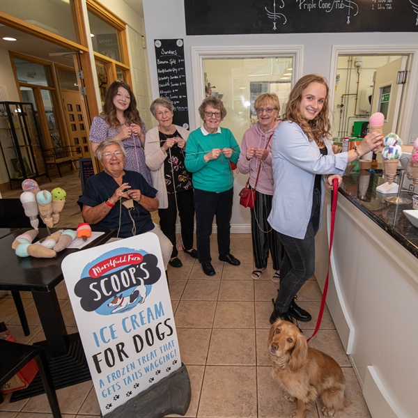 Theatre launches knitted ice cream appeal for panto