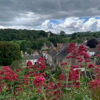 Richmond blooms!