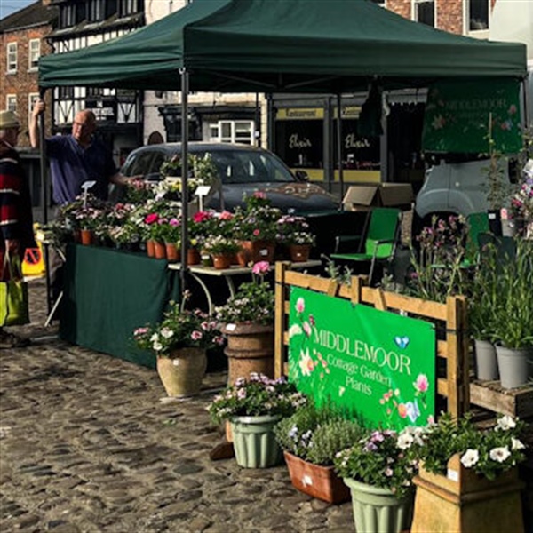 Market stalls are on the increase