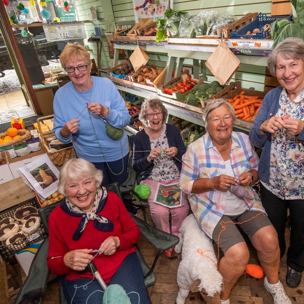 Theatre launches pantomime knitting appeal