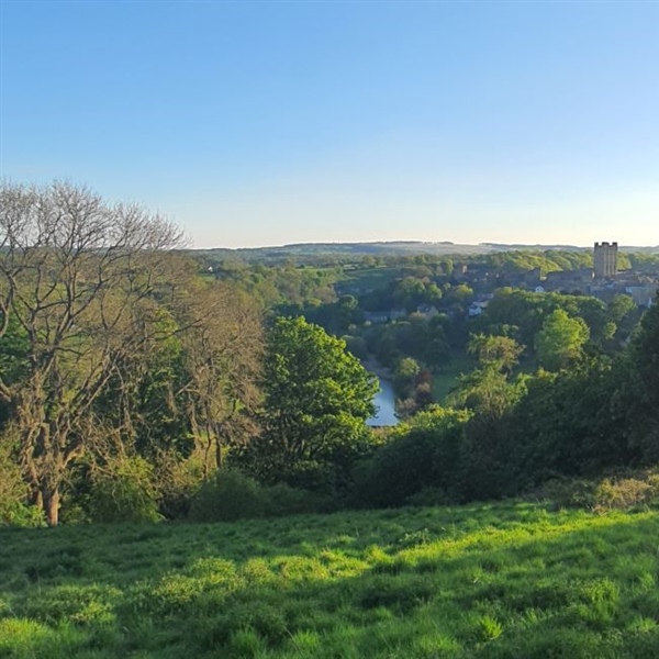 A calendar of customs