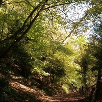 Autumn highlights