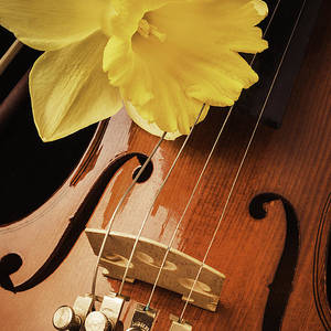 2026 Swaledale Festival - programme out now, tickets soon...