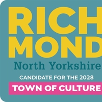 Town of Culture debate in the...
