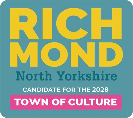 Town of Culture debate in the...