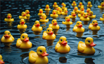 Duck!