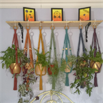 Macrame Plant Hanger workshop