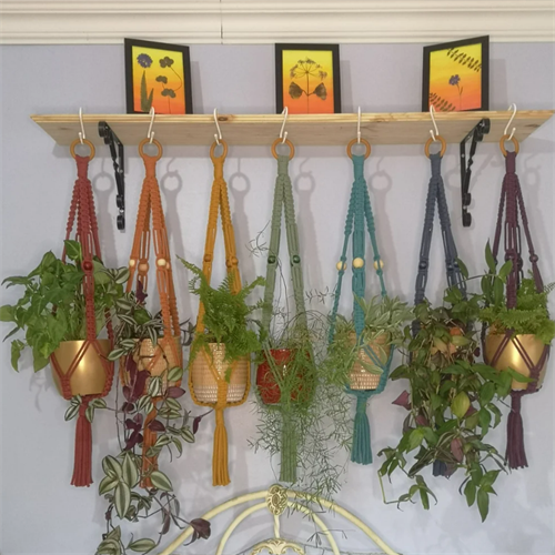 Macrame Plant Hanger workshop