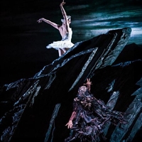 RBO 26/27: Swan Lake