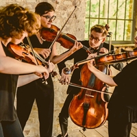 Chaos Quartet
