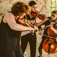 Chaos Quartet