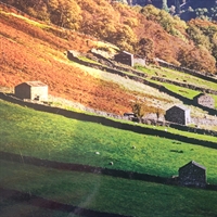 Wish you were here... in Swaledale