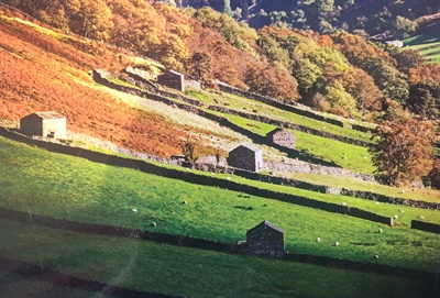 Wish you were here... in Swaledale