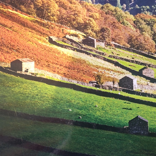 Wish you were here... in Swaledale