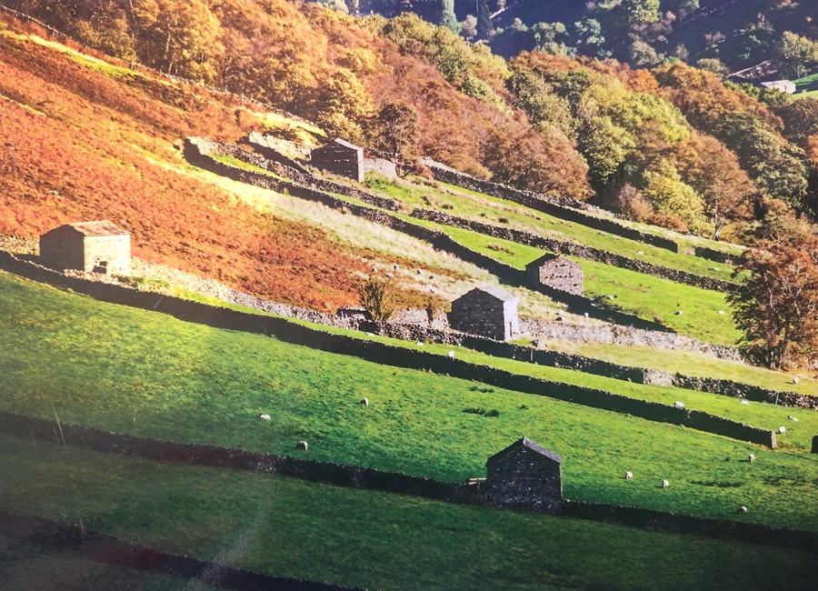 Wish you were here... in Swaledale