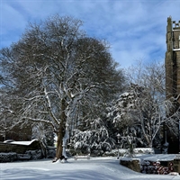 The Friary