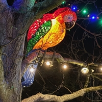 Christmas Lights Switch-On