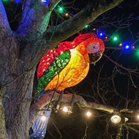 Christmas Lights Switch-On