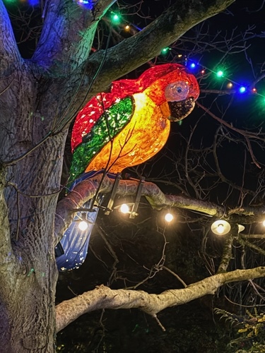 Christmas Lights Switch-On