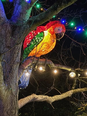 Christmas Lights Switch-On