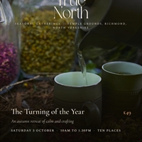 The Turning of the Year