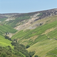 Free Guided Walk in Reeth