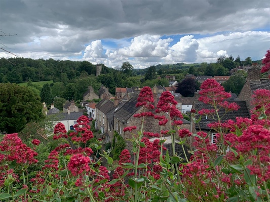 Richmond blooms!
