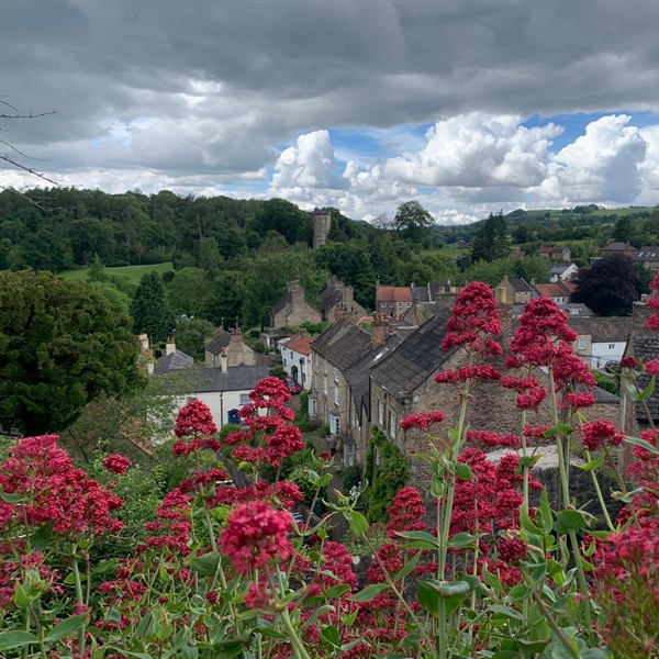 Richmond blooms!
