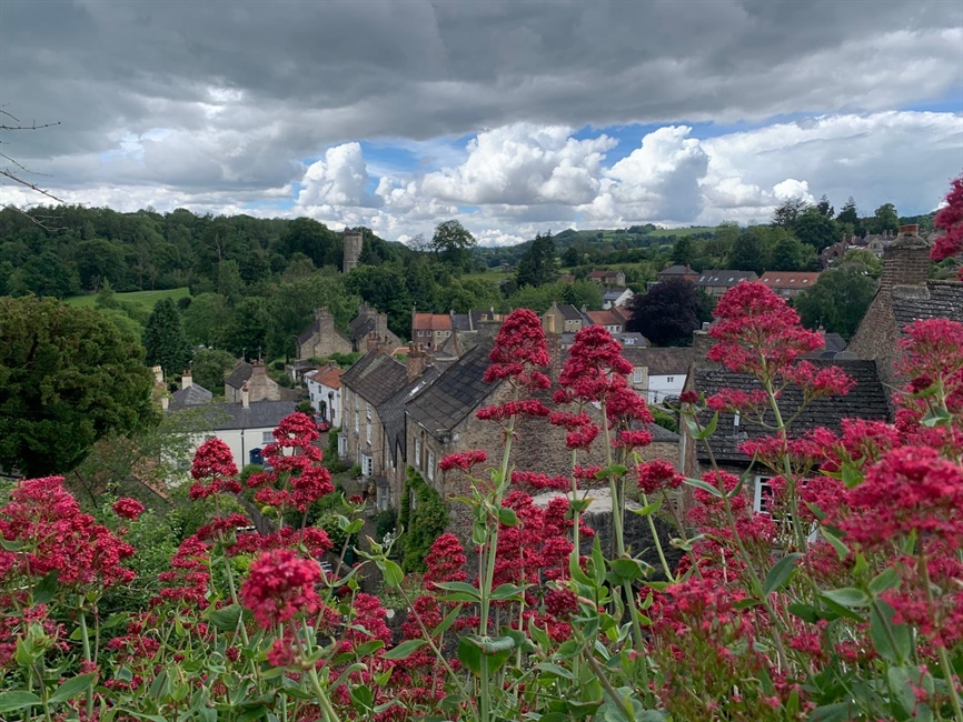Richmond blooms!