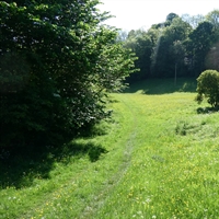 Easter Monday Guided Walk...