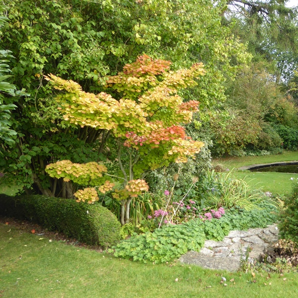Skeeby Manor House Garden to Open in Aid of Local Charities