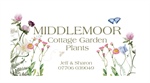 Middlemoor Cottage Garden Plants