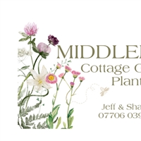 Middlemoor Cottage Garden Plants