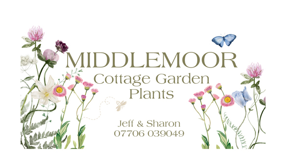 Middlemoor Cottage Garden Plants