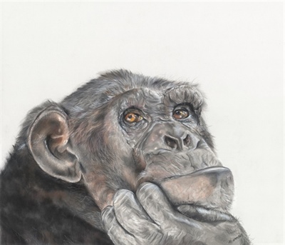 Local artists invited to exhibit at The Georgian Theatre Royal in 2026