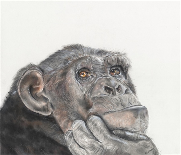 Local artists invited to exhibit at The Georgian Theatre Royal in 2026