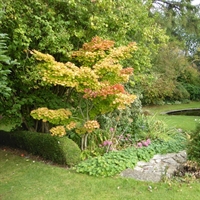 Skeeby Manor House Garden to...