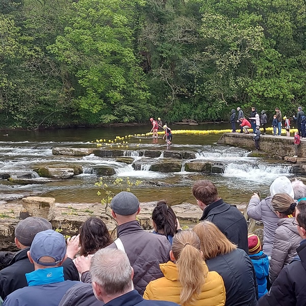 Richmond Gears Up for Grand Annual Duck Race on May Day Bank Holiday