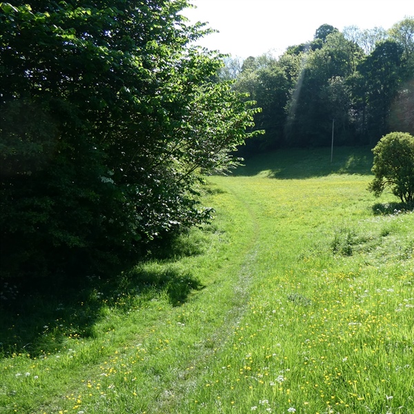 Easter Monday Guided Walk Offers Insight into Richmond’s Natural Heritage